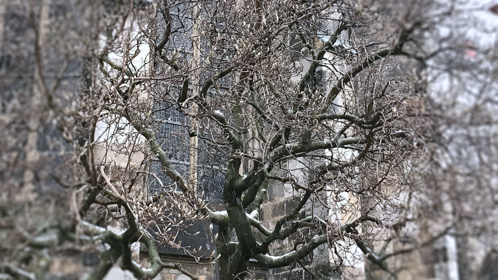 schnee-dom